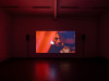 <p>Installation view, <em>Home from Home,</em> Filmstill aus Ivana Mladenović: Turn Off the Lights, 2012, 71 Min. Photo: Fred Dott.</p>