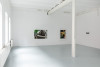 <p>Exhibition View, Halle für Kunst Lüneburg, Alan Michael, <em>Playlife</em>, 2021. Photo: Fred Dott.</p>