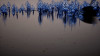 <p>Femke Herregraven, <em>The Evacuated</em>, 2021-2026. Stills from a live-generated forest ecosystem. Courtesy of the artist.</p>