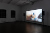 <p>Installation view, Caterina De Nicola, The Unswept Floor; Courtesy the artist and Halle für Kunst Lüneburg, 2024.</p>