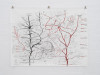 <p>Halle für Kunst Lüneburg, <em>TRANS/VERSAL - Lasting Resonances and Relational Landscapes</em>, 28.06. - 09.08.2026. Ausstellungsansichten: Fred Dott.</p>